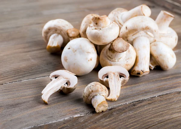 Champignons freschi — Foto Stock