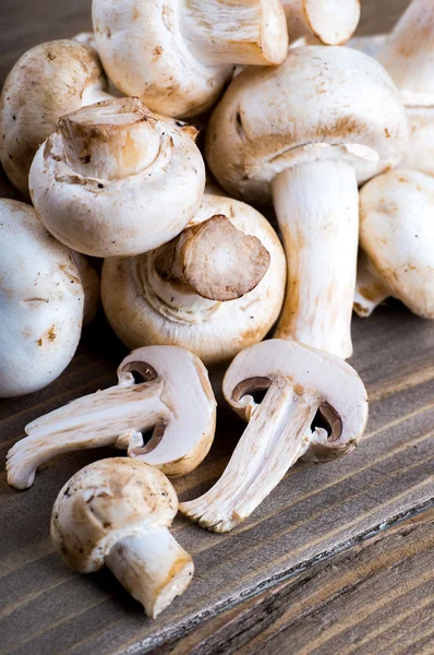 Champignons freschi — Foto Stock