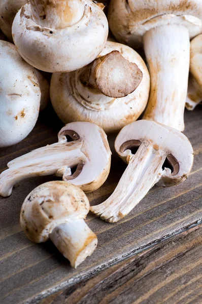 Champignons freschi — Foto Stock