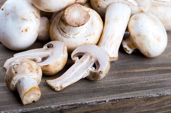 Champignons freschi — Foto Stock