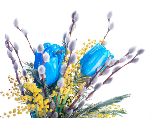 Синие тюльпаны с мимозой — стоковое фото