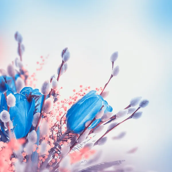 Blue tulips with mimosa — Stock Photo, Image