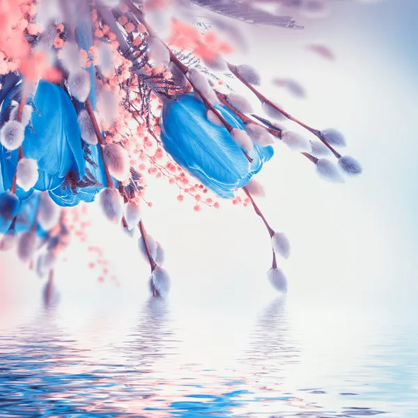 Tulipani blu con mimosa — Foto Stock