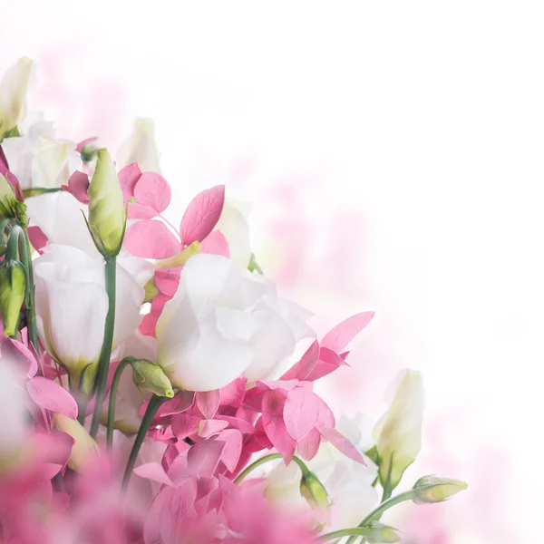 Rosas brancas com grama decorativa — Fotografia de Stock