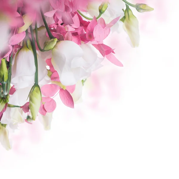 Dekoratif çim ile beyaz güller — Stok fotoğraf