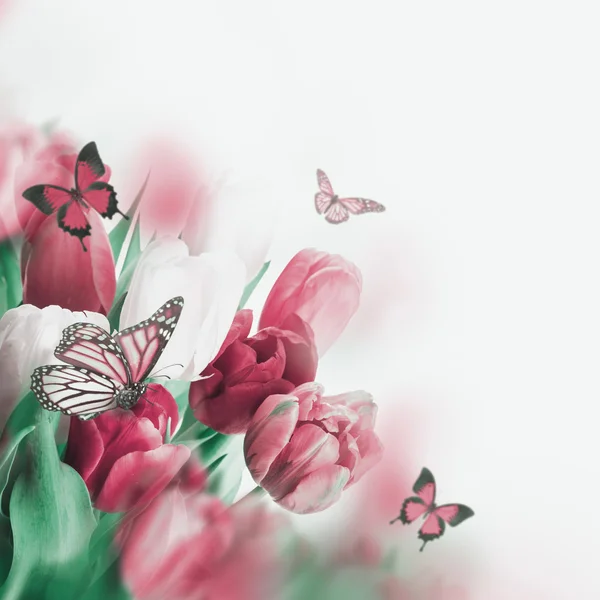 Delicate tulips with butterflys — Stock Photo, Image