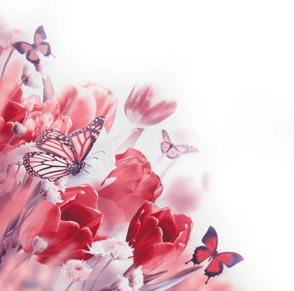 Zarte Tulpen mit Schmetterlingen — Stockfoto