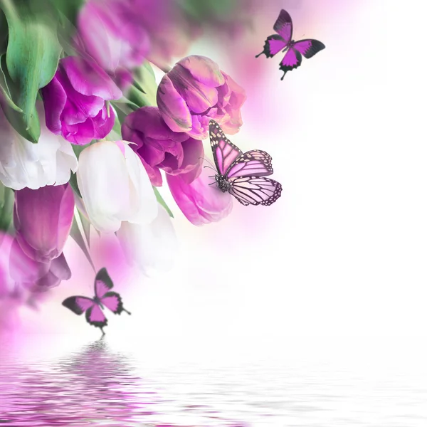 微妙的郁金香与蝴蝶 — 图库照片