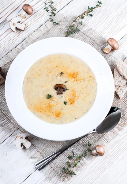 Soupe champignon Champignons — Photo