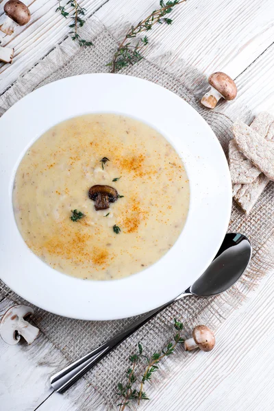 Soupe champignon Champignons — Photo