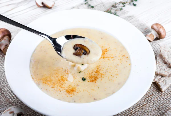 Soupe champignon Champignons — Photo