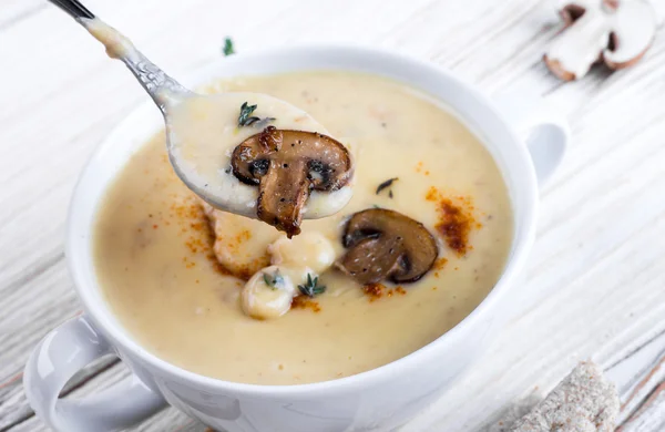 Soupe champignon Champignons — Photo