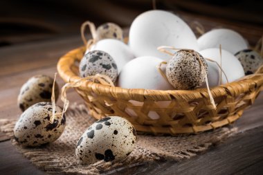 sepet içinde tavuk ve Bıldırcın yumurta