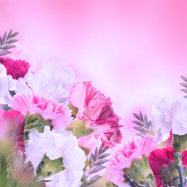 Floral background — Stock Photo, Image