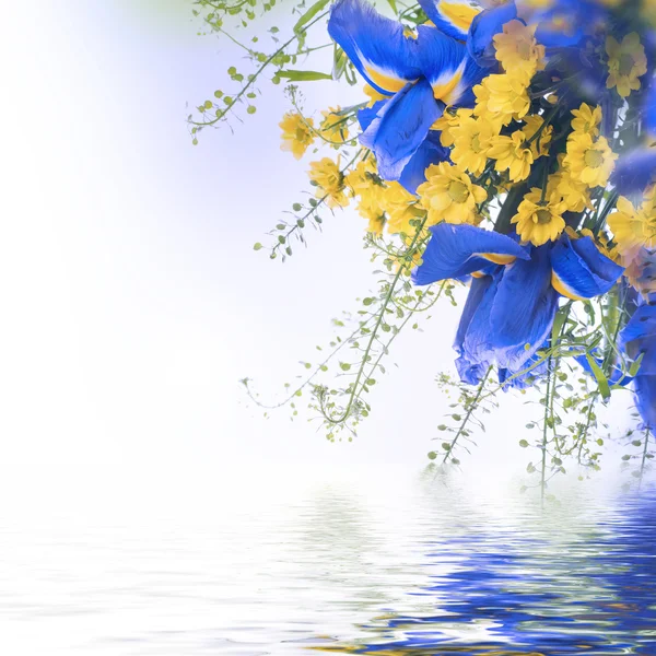 Blue irises with yellow daisies — Stock Photo, Image