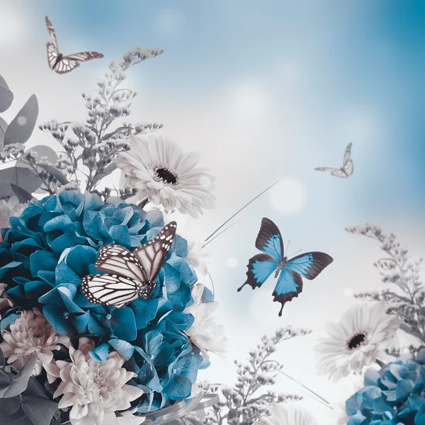 Hortensien und Schmetterlinge — Stockfoto