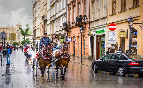 Transporte de cavalos em krakow — Fotografia de Stock