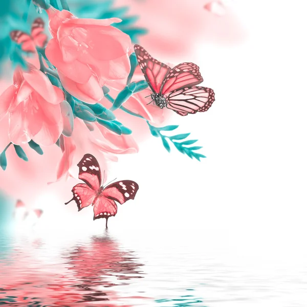 Primrose och fjärilar — Stockfoto