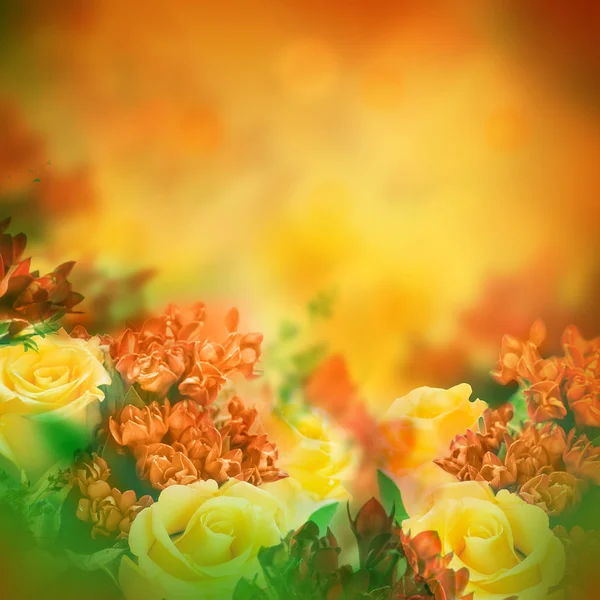 Bouquet of yellow roses — Stock Photo, Image