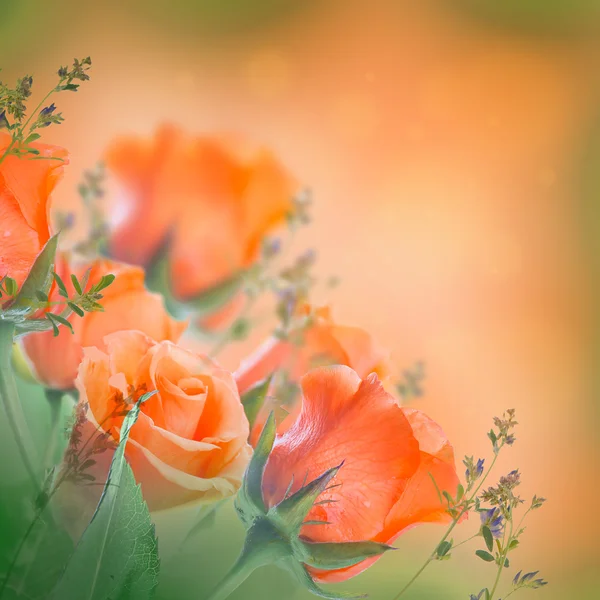 Bouquet de Roses Jaunes — Photo