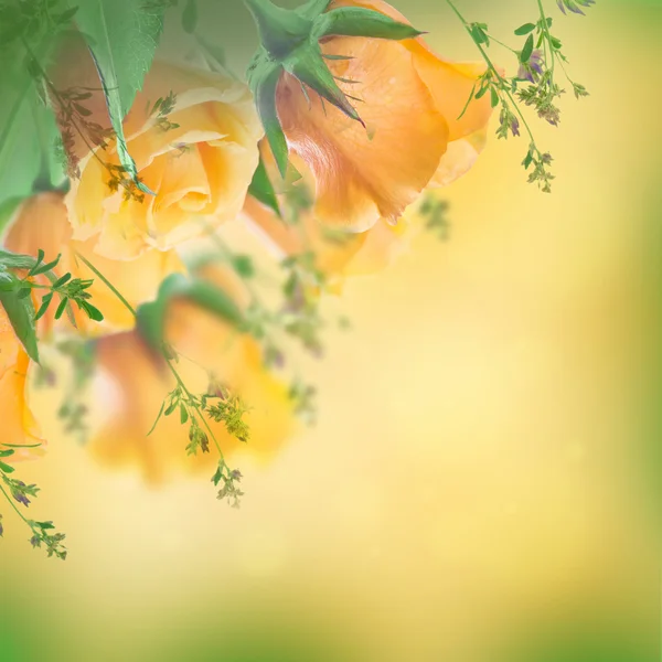 黄色のバラの花束 — ストック写真