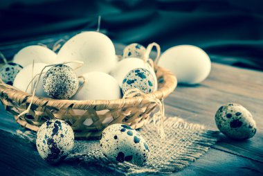 bıldırcın ve tavuk yumurta