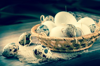 bıldırcın ve tavuk yumurta