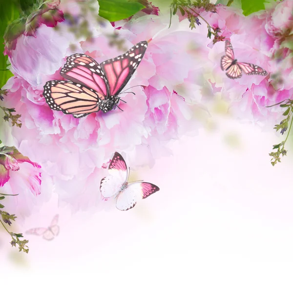 Blommig bakgrund — Stockfoto