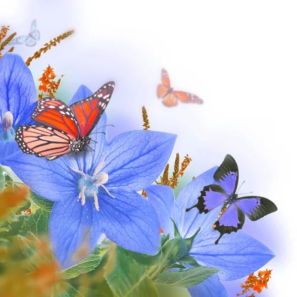 Campanas y mariposas —  Fotos de Stock