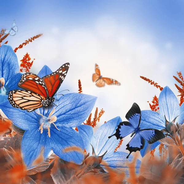 Bells and butterflies — Stock Photo, Image