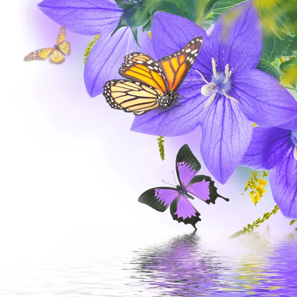 Колокола и бабочки — стоковое фото