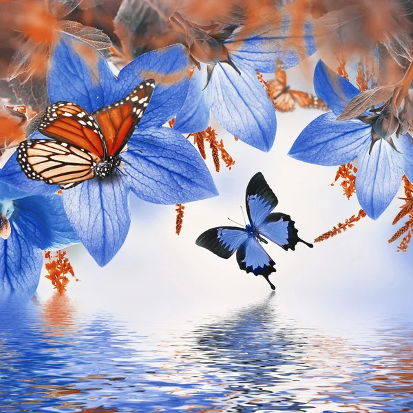 Glocken und Schmetterlinge — Stockfoto