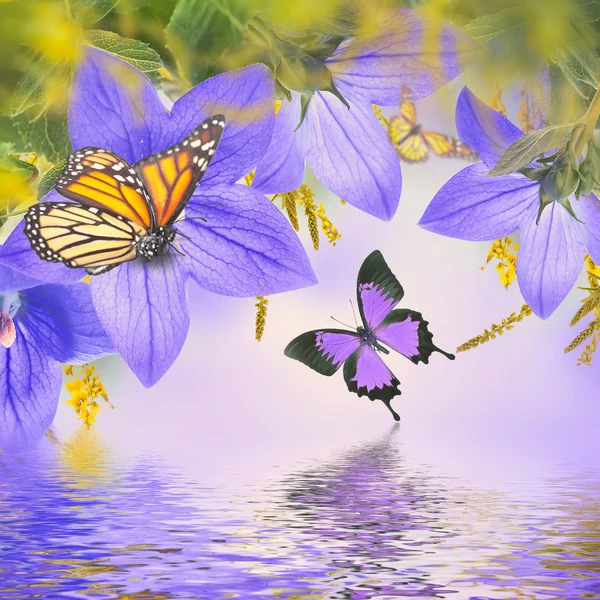 Campanas y mariposas — Foto de Stock
