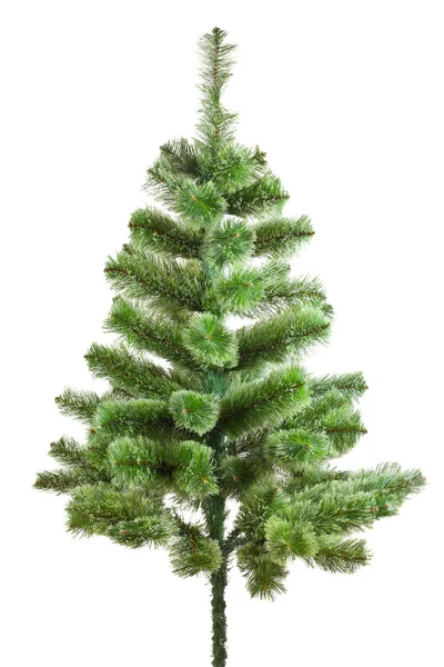 Christmas tree isolated — Stock Photo, Image