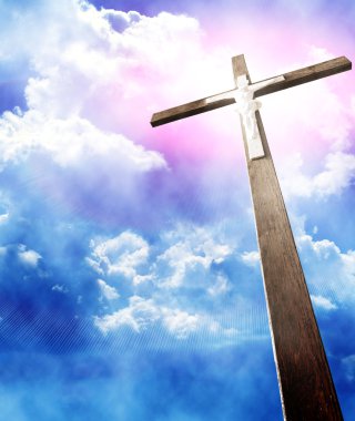 yapraklara bulutlu gökyüzü karşı karşıya