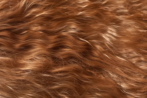 Textura del cabello — Foto de Stock