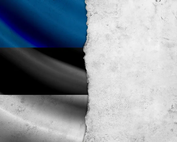 Grunge Drapeau Estonie — Photo