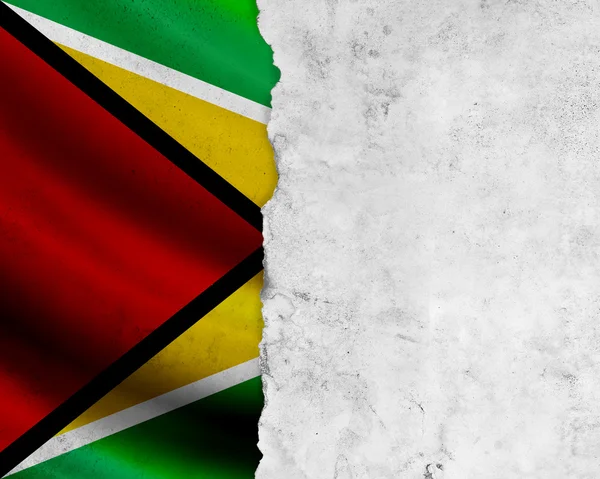 Grunge guyana vlag — Stockfoto