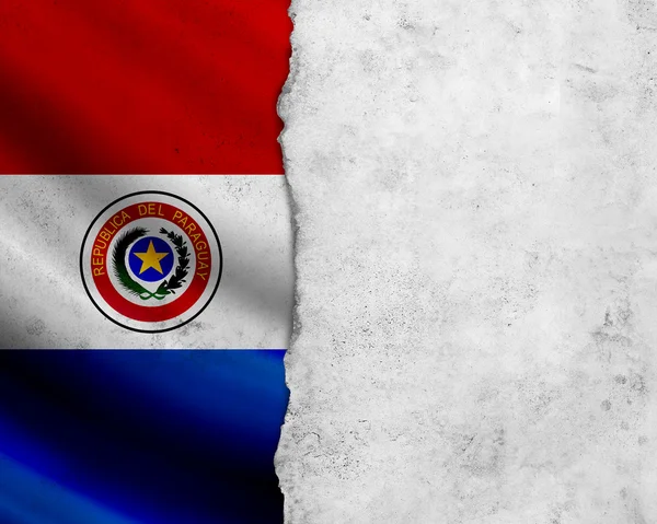 Grunge paraguay vlag — Stockfoto