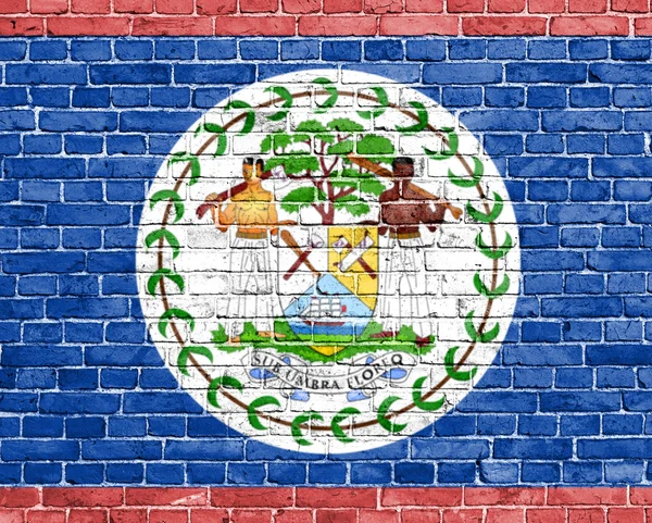 Прапор Белізу гранж — стокове фото