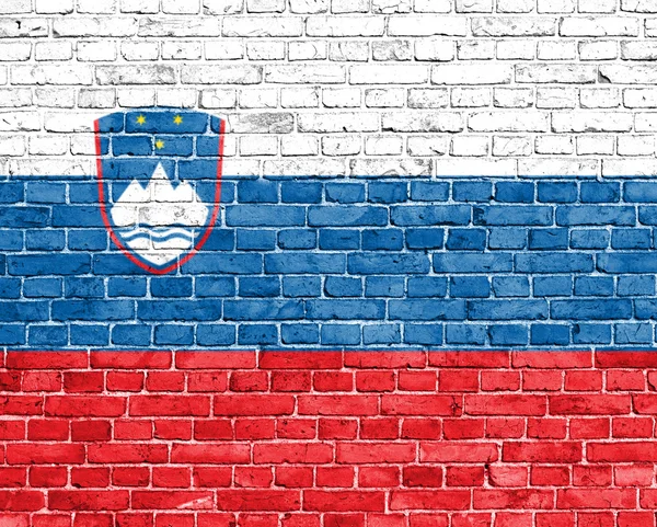 Grunge Slovenië vlag — Stockfoto