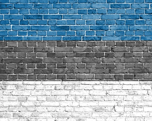 Grunge Estland vlag — Stockfoto