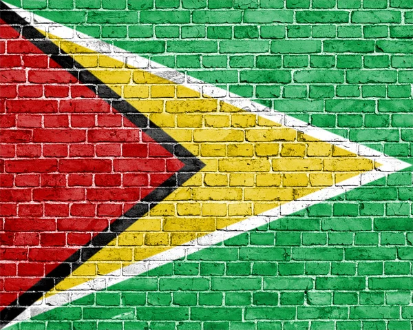 Grunge Guyana Flagge — Stockfoto