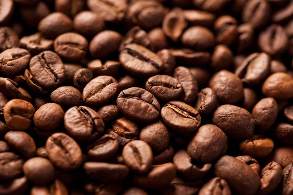 Coffee beans — Stock Photo, Image