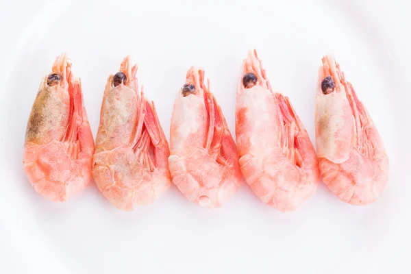 Fresh shrimp on plate — Stock Photo, Image