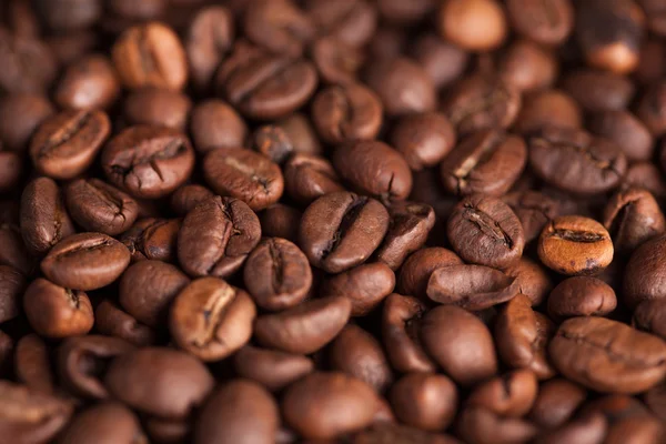 Coffee beans — Stock Photo, Image