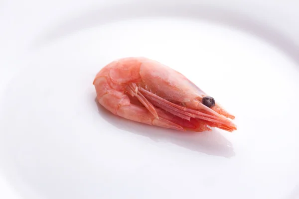 Fresh shrimp on plate — Stock Photo, Image