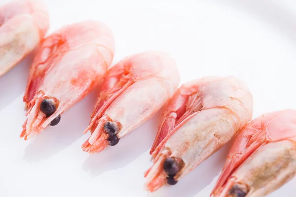 Fresh shrimp on plate — Stock Photo, Image