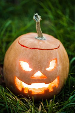 Halloween jack-o-lantern yeşil çimenlerin üzerinde