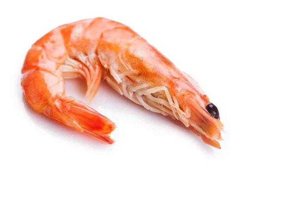 Tiger shrimps — Stock Photo, Image